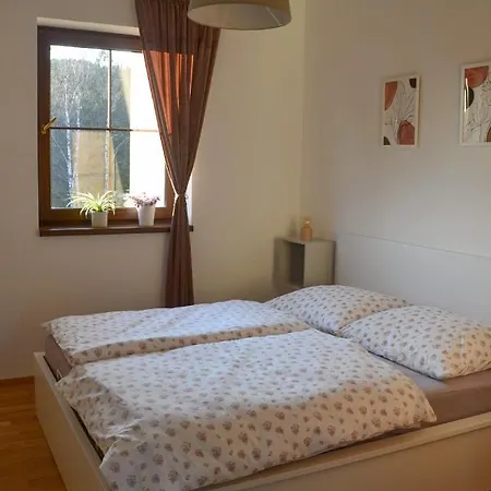Apartman Efka Destne v Orlickych horach Exterior photo